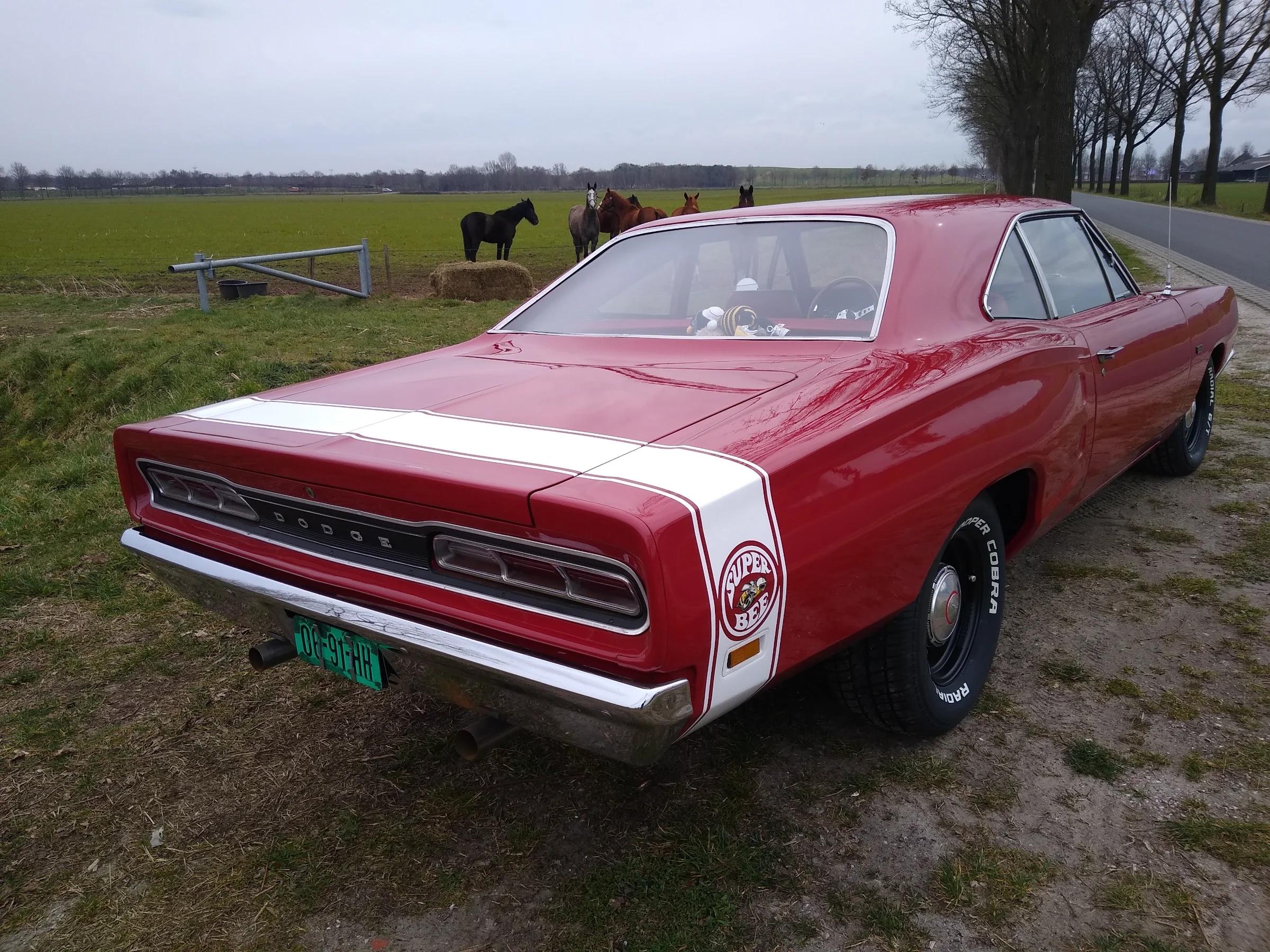 Dodge Super Bee 1969 | Dodge | Nijmegen | 4