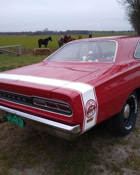 Dodge Super Bee 1969 | Dodge | Nijmegen | 4