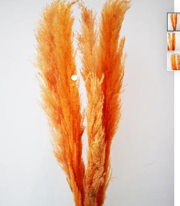 Buy Dried Pampas Grass UK — No Trade Account, Up to 35% Off, Free Delivery Over £150 | Flowers, floristry | Birmingham | 4