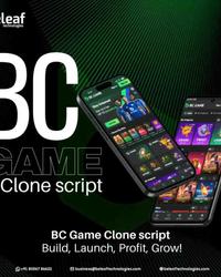 Want To Build A Crypto Casino Like BC Game? BeleafTechnologies Has Got You Covered!