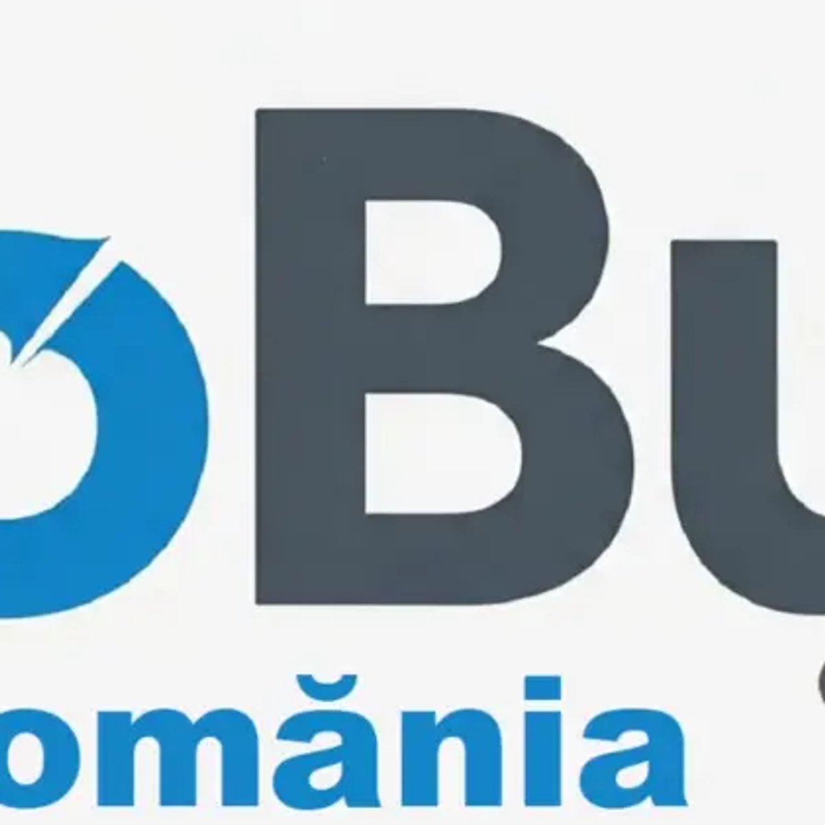 GO BUSI MARKETING DIGITAL | Advertising and Marketing | Oradea | Ad gallery (SEO) | 1