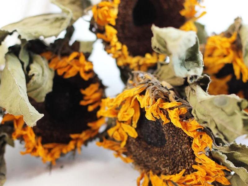 Dried Flowers & Decor Ltd - 2