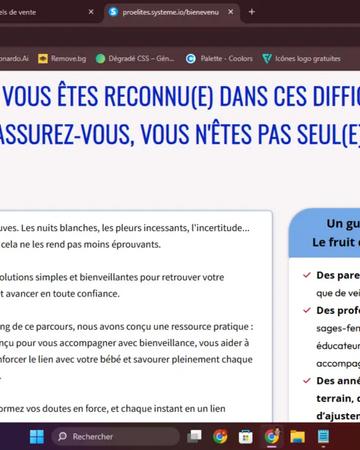 Création de site WordPress professionnel + automatisation de votre business(Make / tunnels de vente) | Other Services | Pori | 3