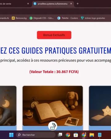 Création de site WordPress professionnel + automatisation de votre business(Make / tunnels de vente) | Other Services | Pori | 5