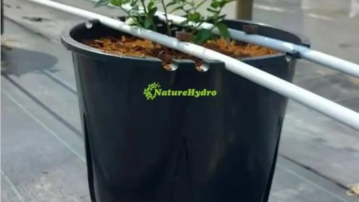 Naturehydro Plastic Berry Grow Pots Wholesale | Garden plants | Rotterdam | Ad gallery (SEO) | 3