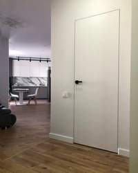 Concealed doors. Europe delivery.