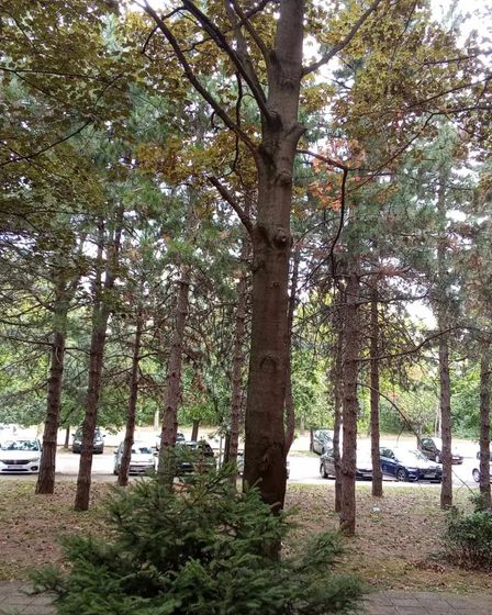 Selling flat Bežanija Beograd tenanted property investment real estate buy-to-let Serbia Expo 2027 | Selling apartment | Belgrade | 5