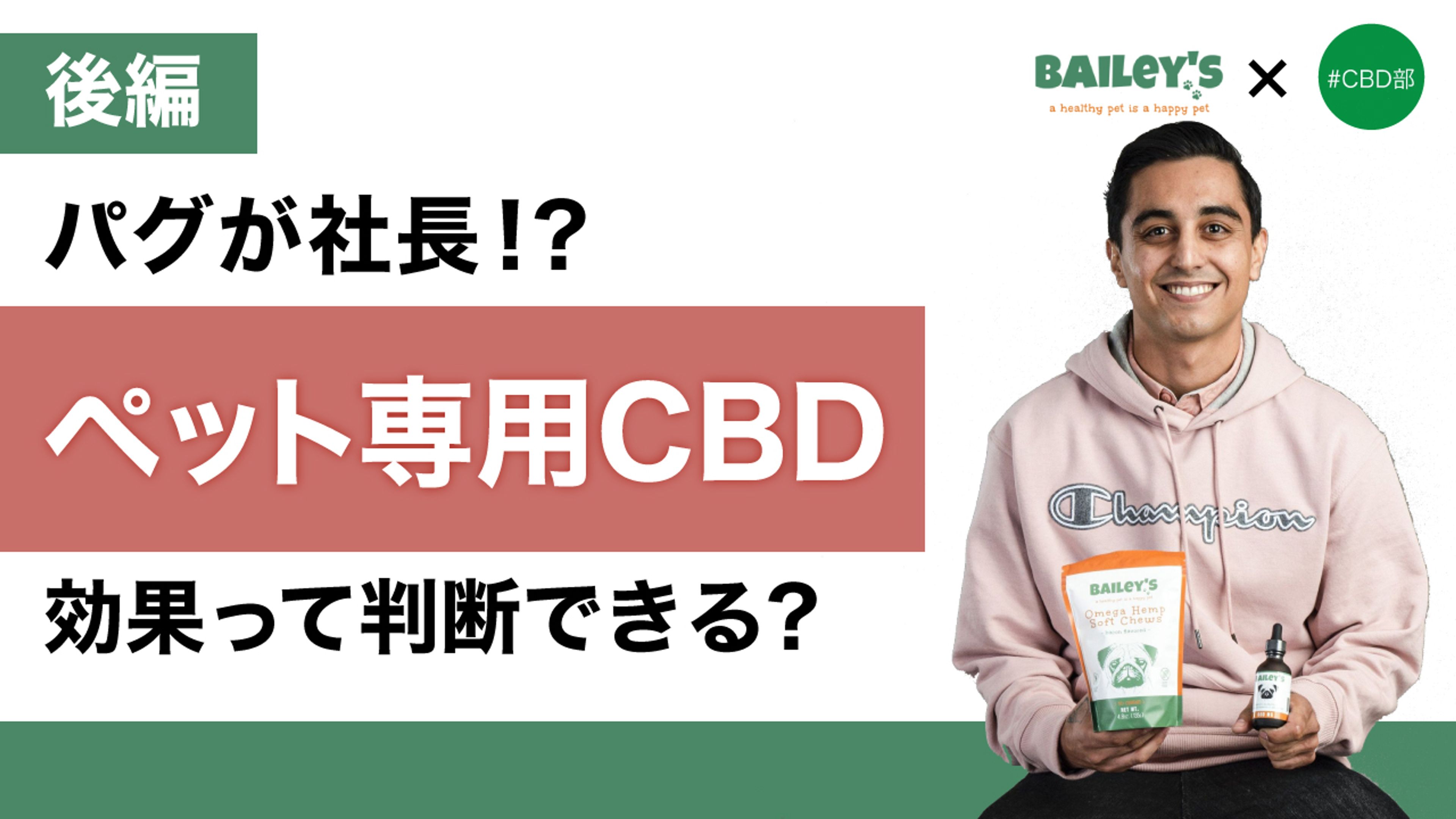 【後編】パグがCEO!? ペット専用CBD ベイリーズ共同創業者にインタビュー