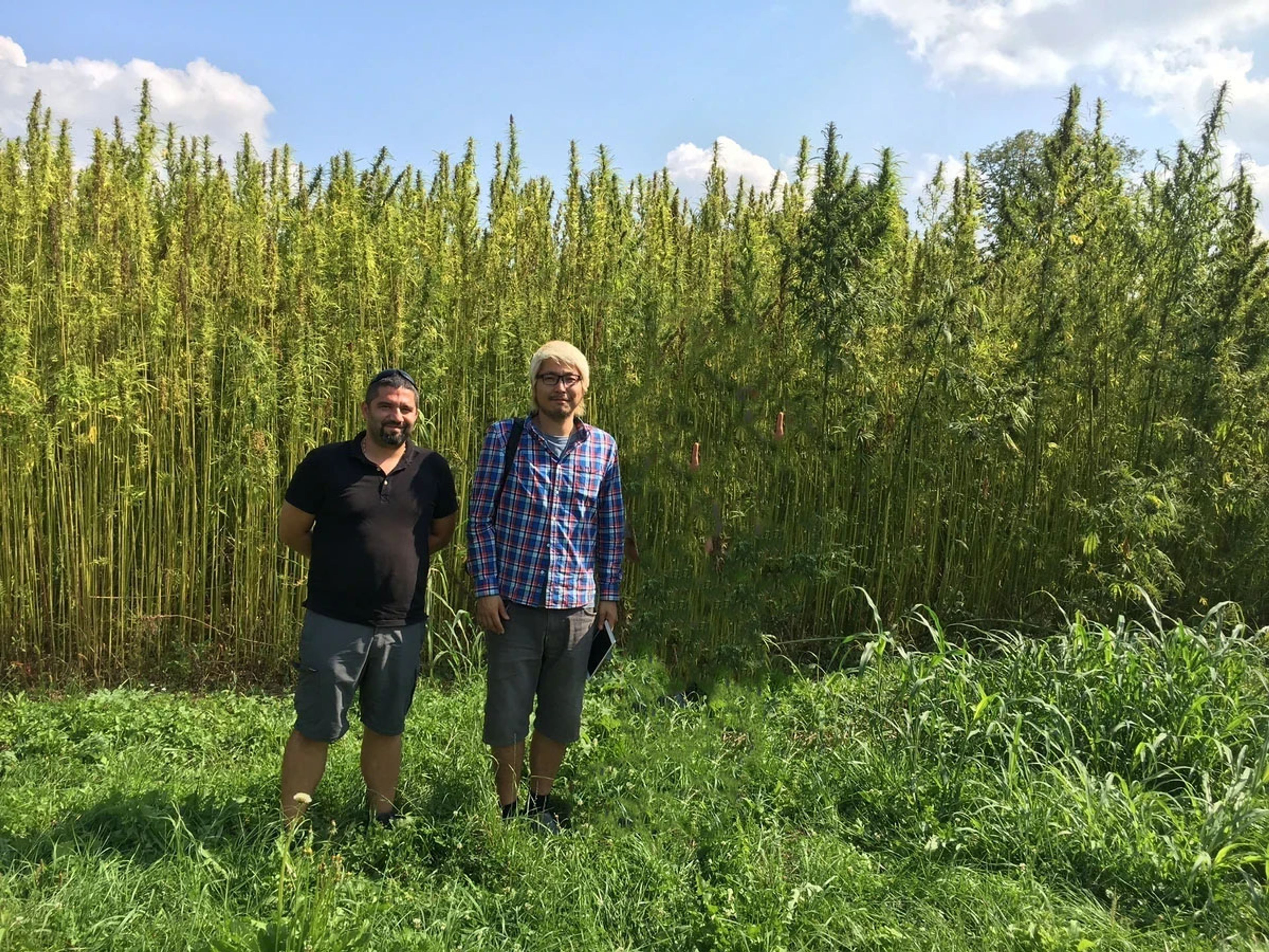 60年以上続く老舗CBDブランドの日本支社『Pharma Hemp Japan』の想い ~CBDアドベント2024~