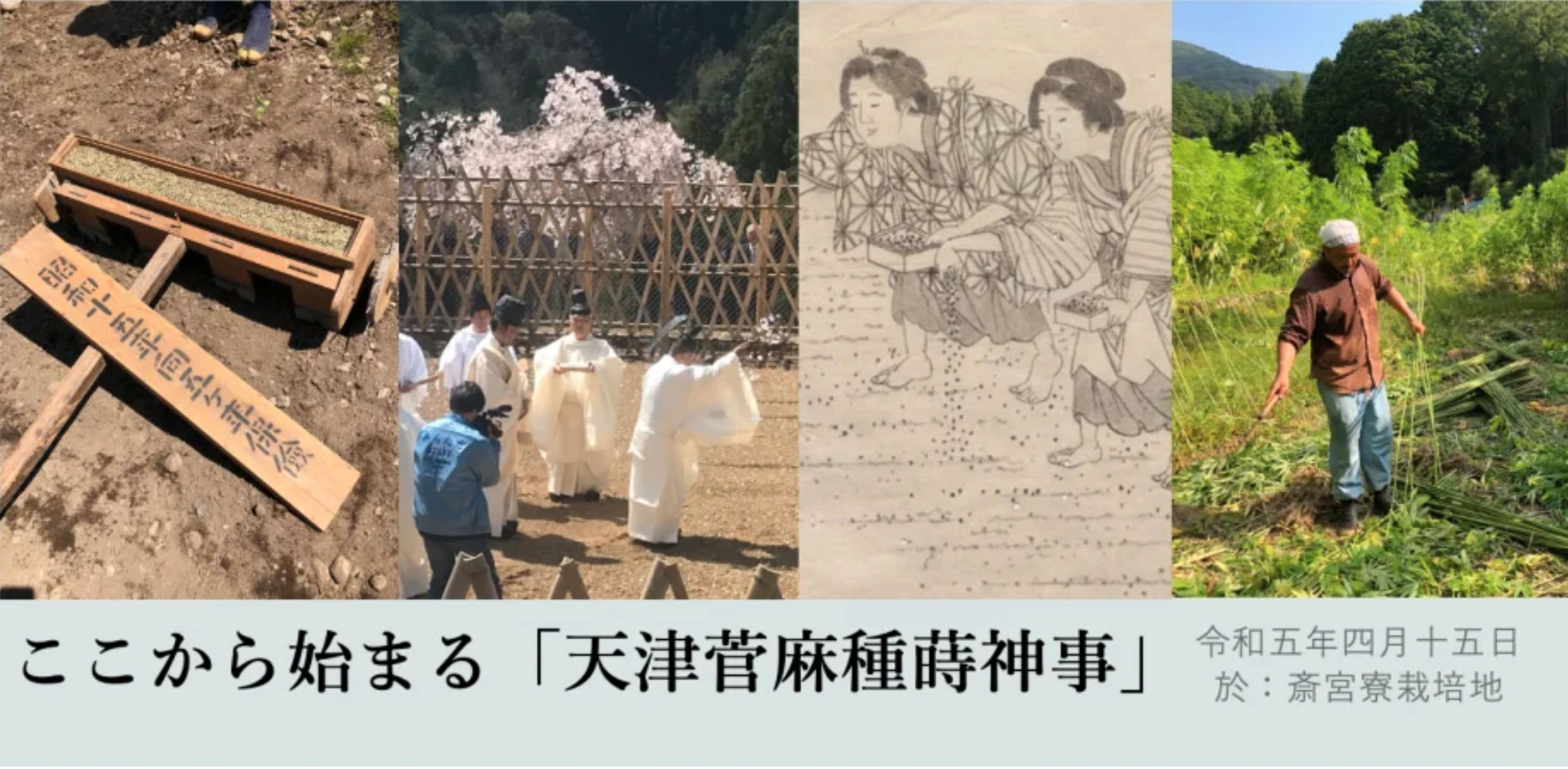 【麻栽培を国内で！】天津菅麻プロジェクト&種まき神事・記念公演