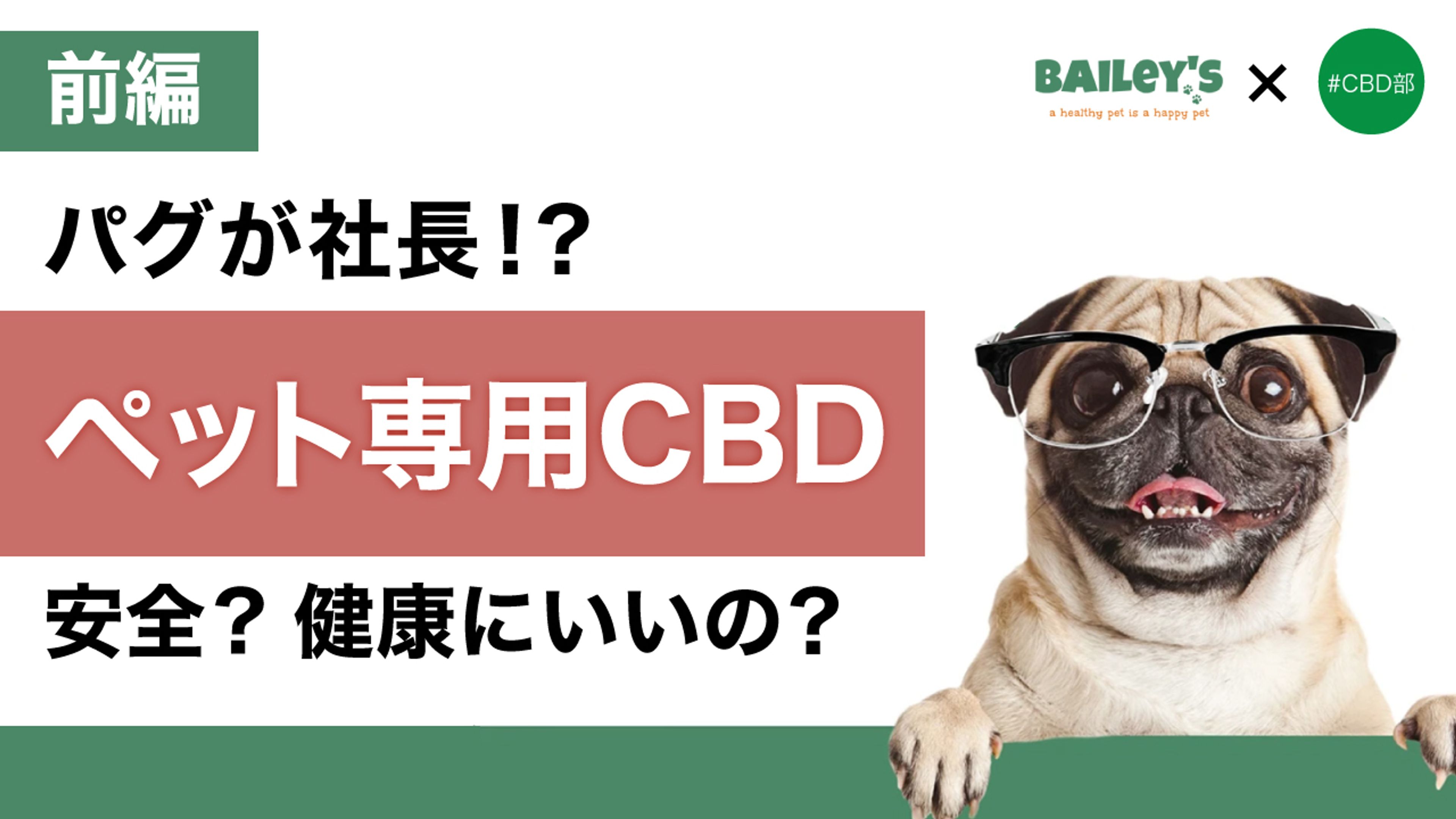 【前編】パグがCEO!? ペット専用CBD ベイリーズ共同創業者にインタビュー
