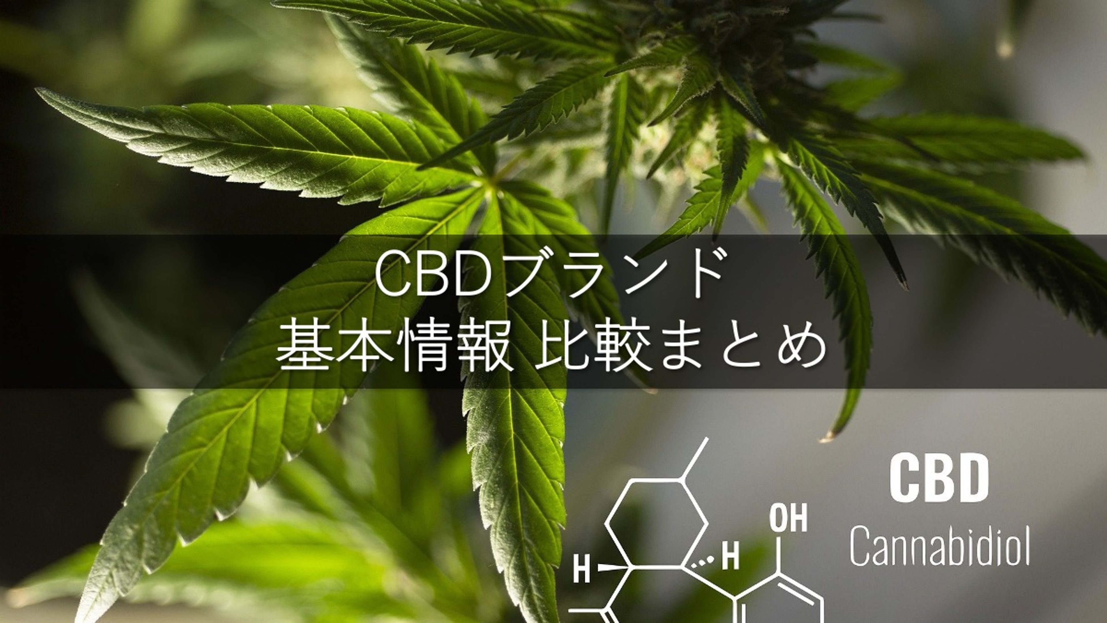 CBDブランド基本情報 比較まとめ