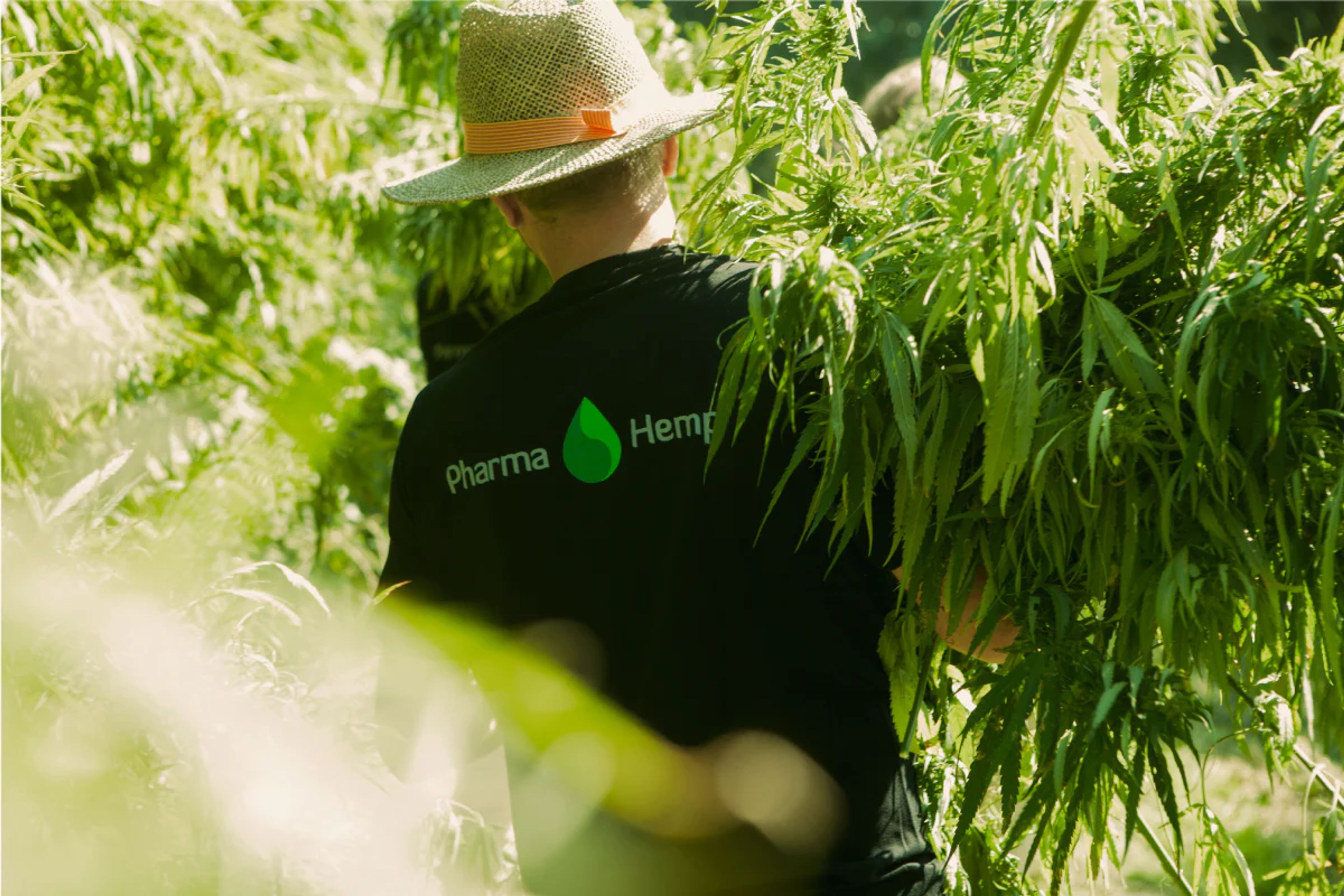 ファーマヘンプと規制：誤解を解き、信頼を築く高品質CBDブランドの歩み ~CBDアドベント2025~