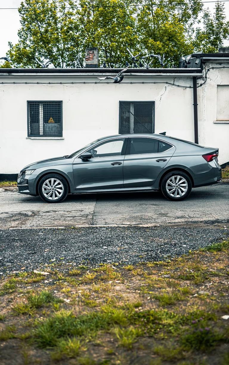 Skoda Octavia IV - zdjęcie realizacji 2