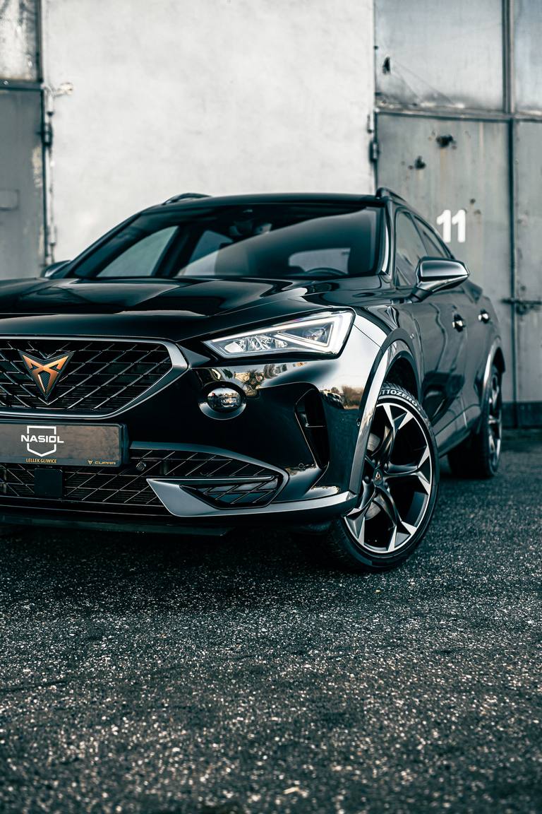 Cupra Fermentor #3 - zdjęcie realizacji 3