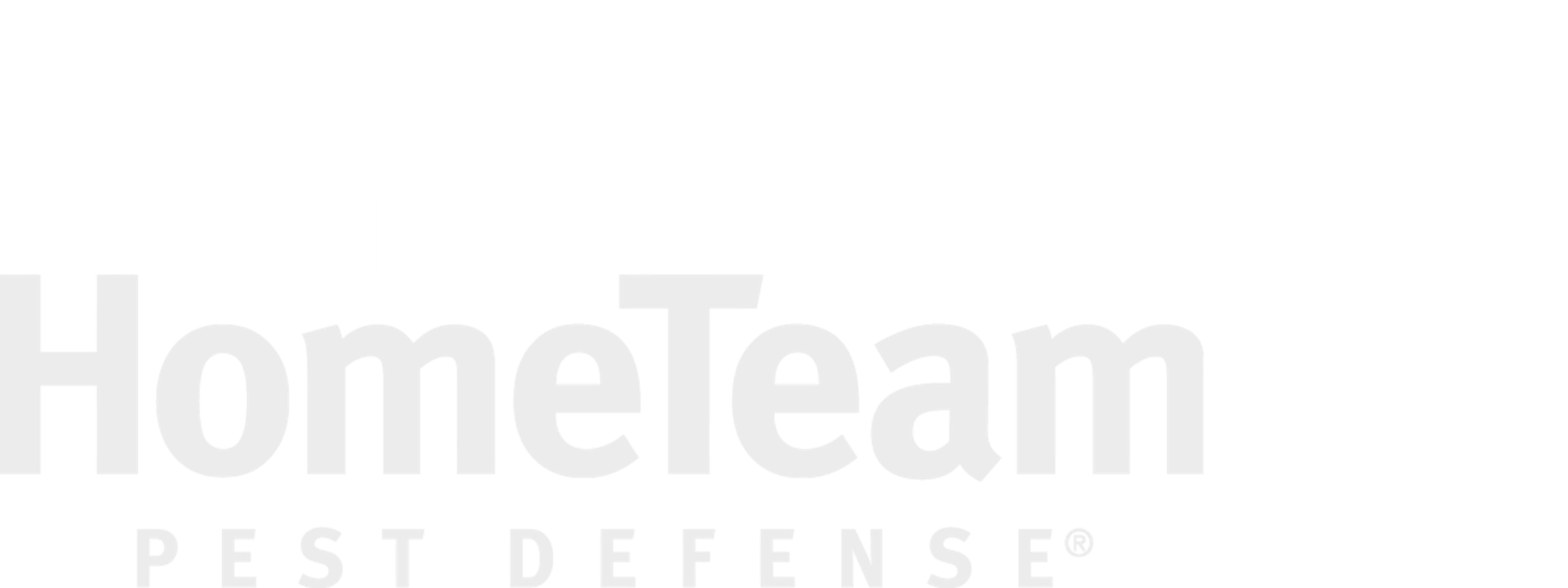 How HomeTeam Pest Defense saved 752 screening hours every week