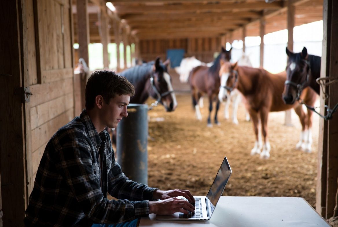 Best Free Horse Management Software (And Why Most Boarding Barns Outgrow It Fast)