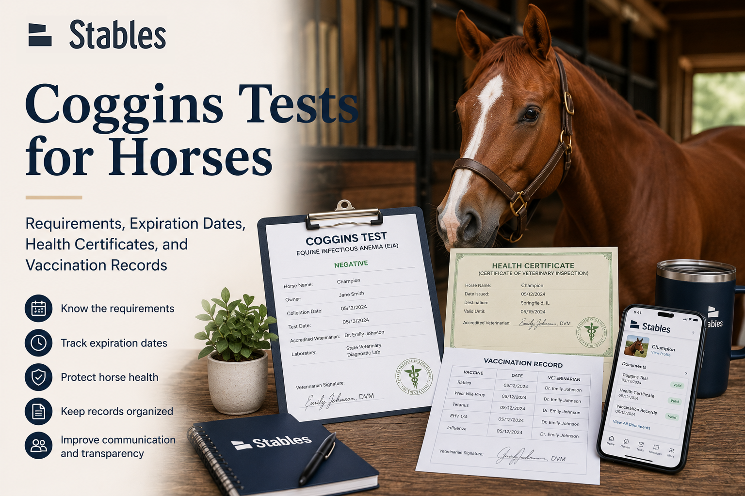 Coggins Tests for Horses: Requirements, Expiration Dates, Travel Rules, Health Certificates, and Vaccination Records