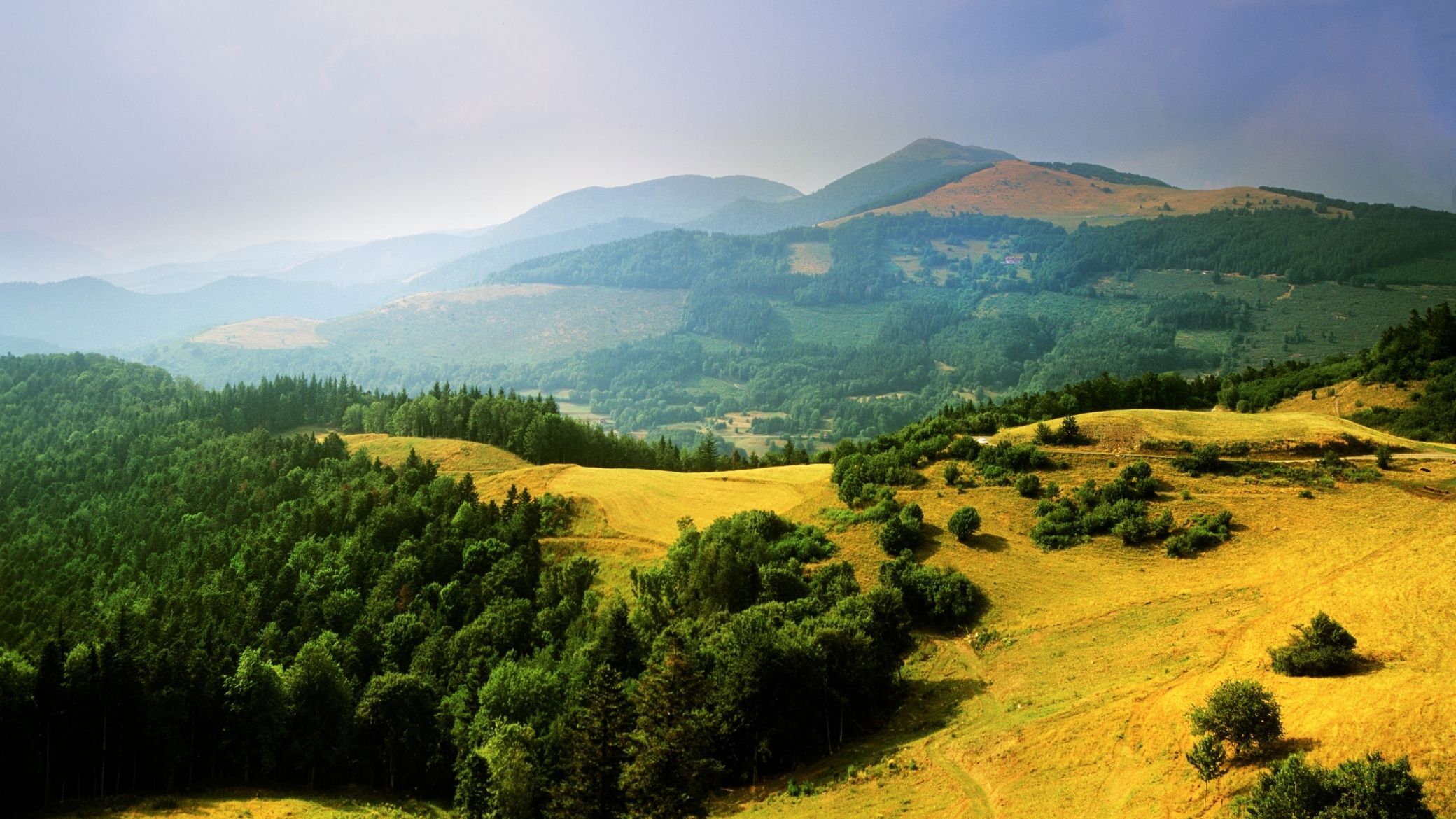 Sentier de randonnée sur les crêtes vosgiennes dans la brume