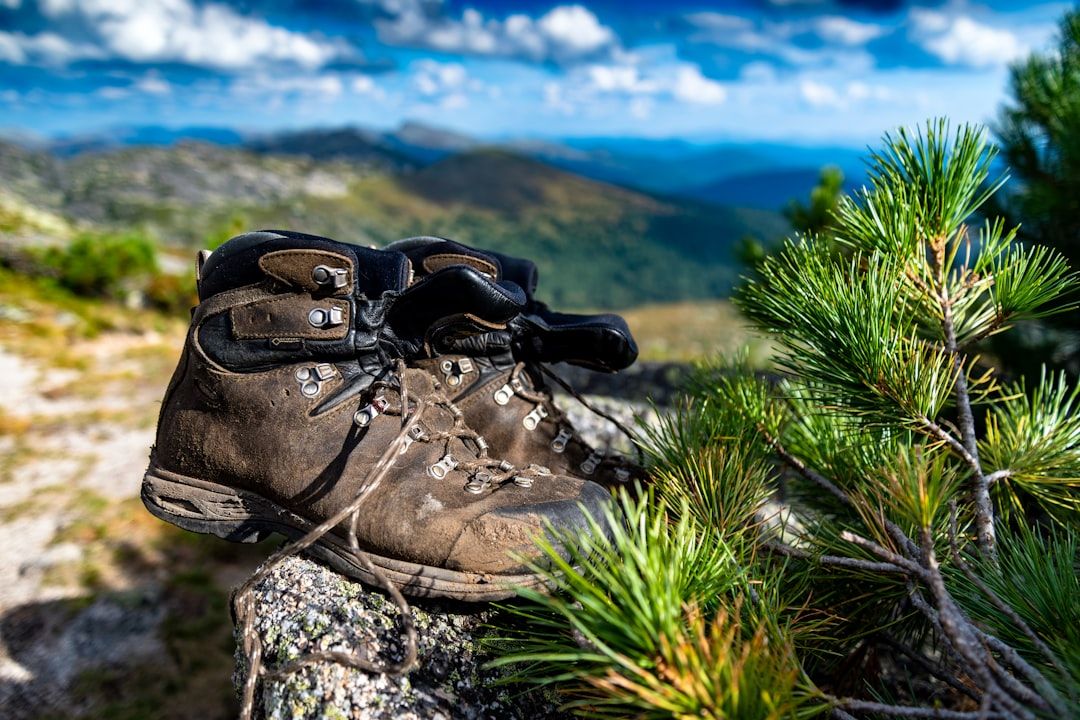 Chaussures de randonnée sur un sentier de pierres en montagne