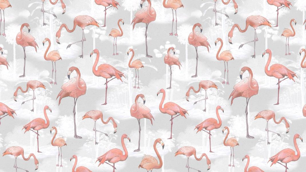 Light gray wallpaper with pink flamingos