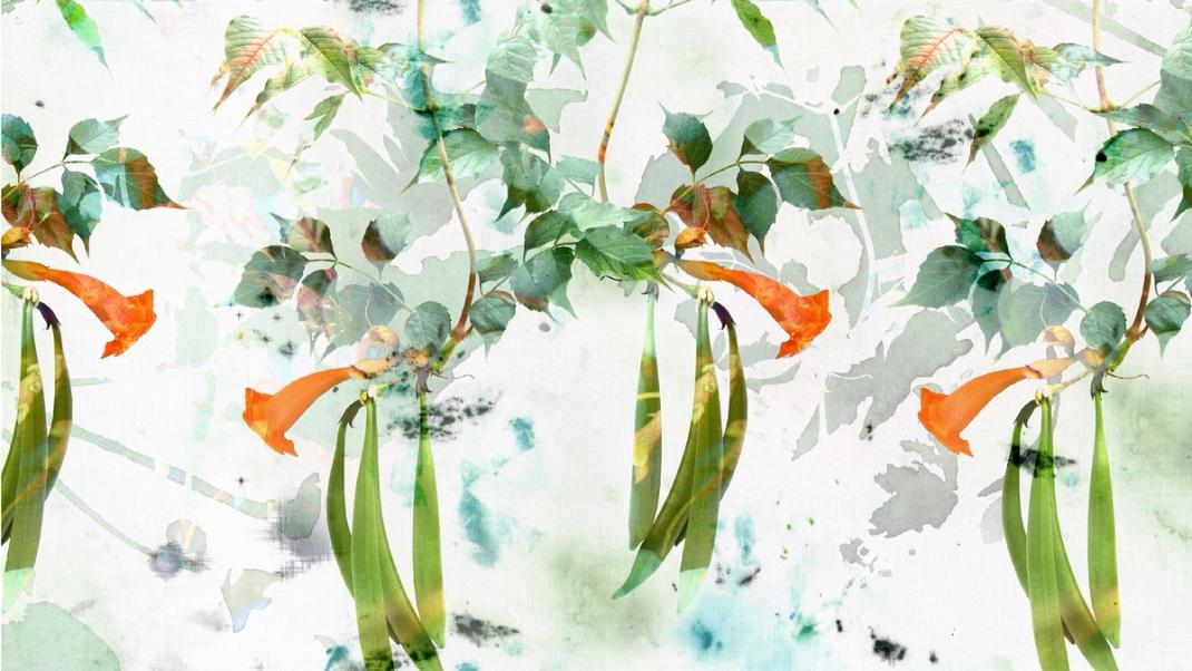 Wallpaper with plants and orange flowers