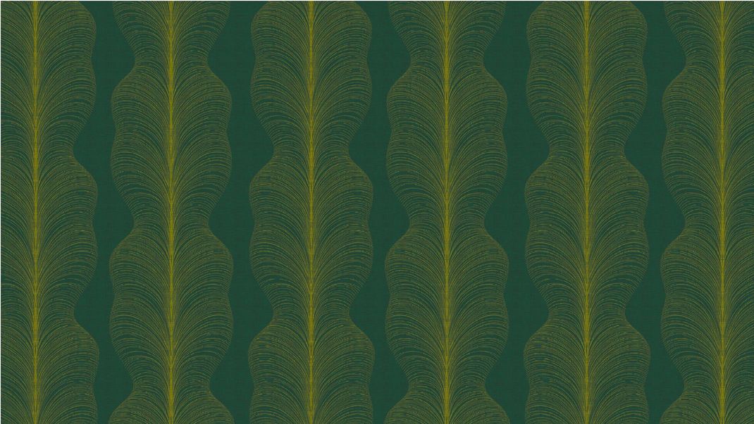 Green wallpaper with yellow-green feathers.