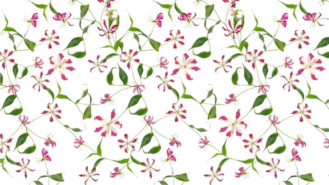 White wallpaper with leaves and pink flowers.