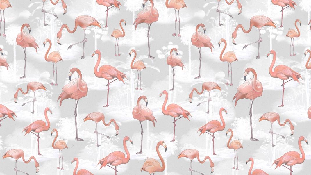 Licht grijs behang met roze flamingo's