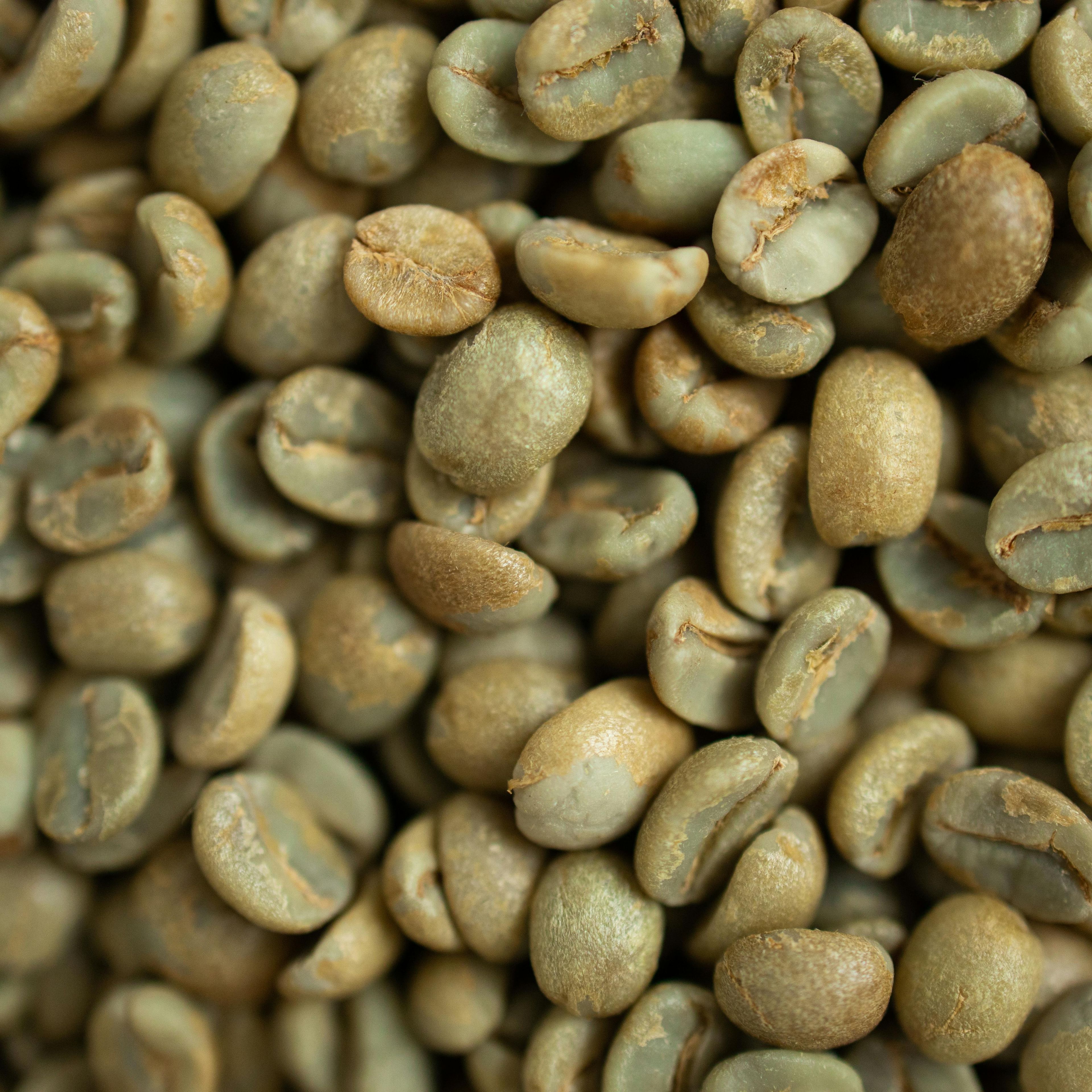 green coffee beans