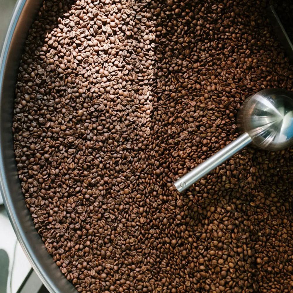 roasted beans