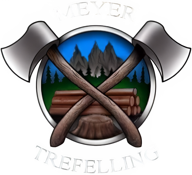 Dedikerte trepleiere fokusert på sikkerhet, klarhet og langsiktige resultater Meyer Trefelling