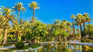 Palmeral De Elche