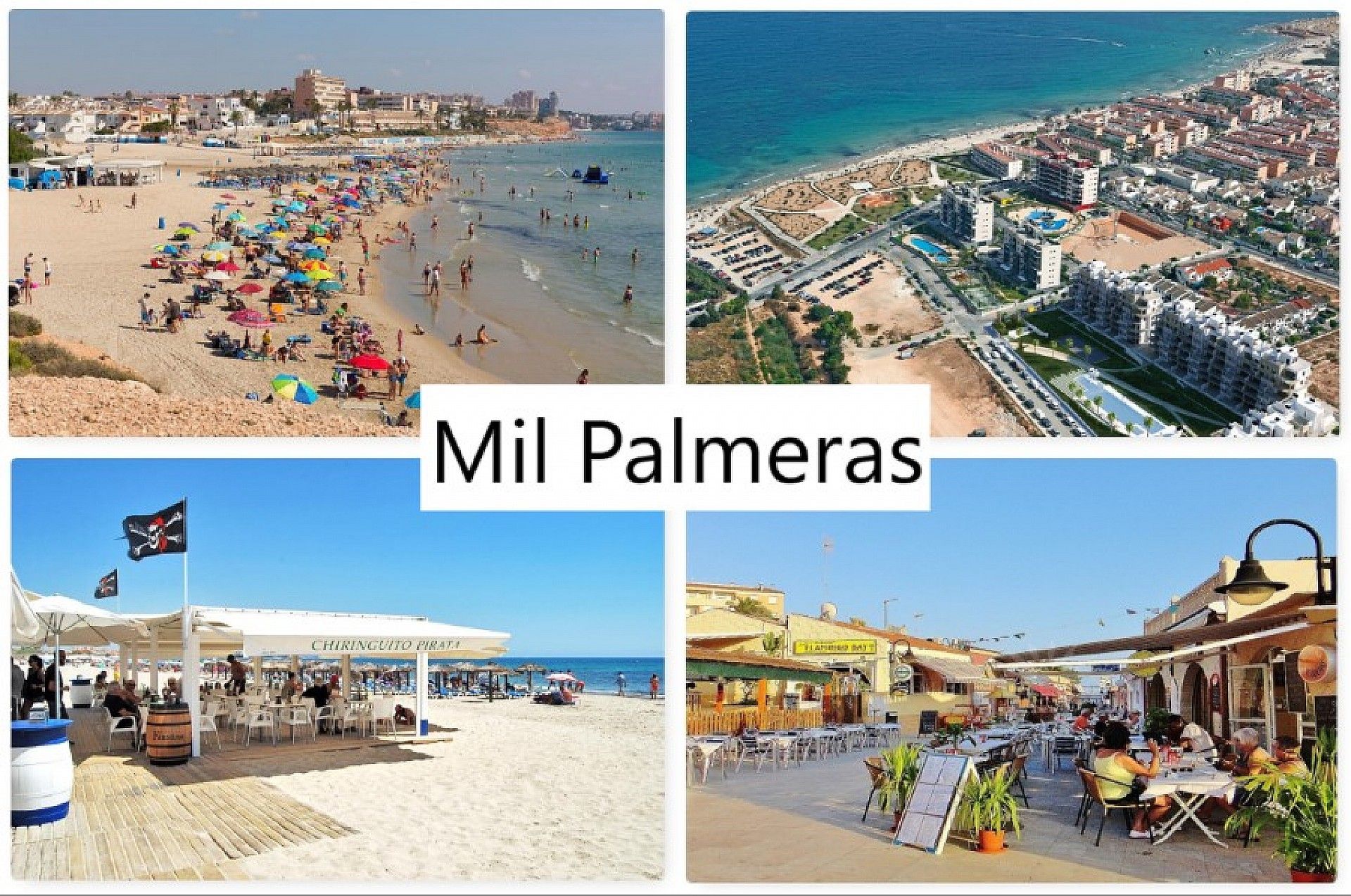 Mil Palmeras