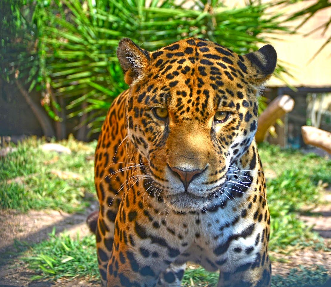 Terra Natura Benidorm