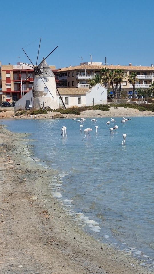 Playa de Lo Pagán