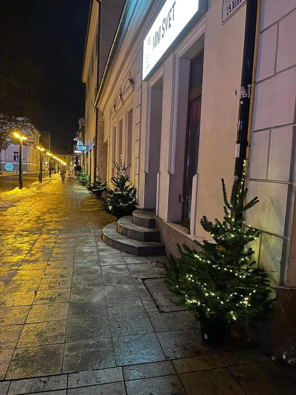 Osadili sme vianočné stromčeky