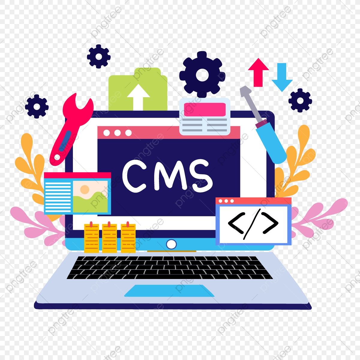 CMS
