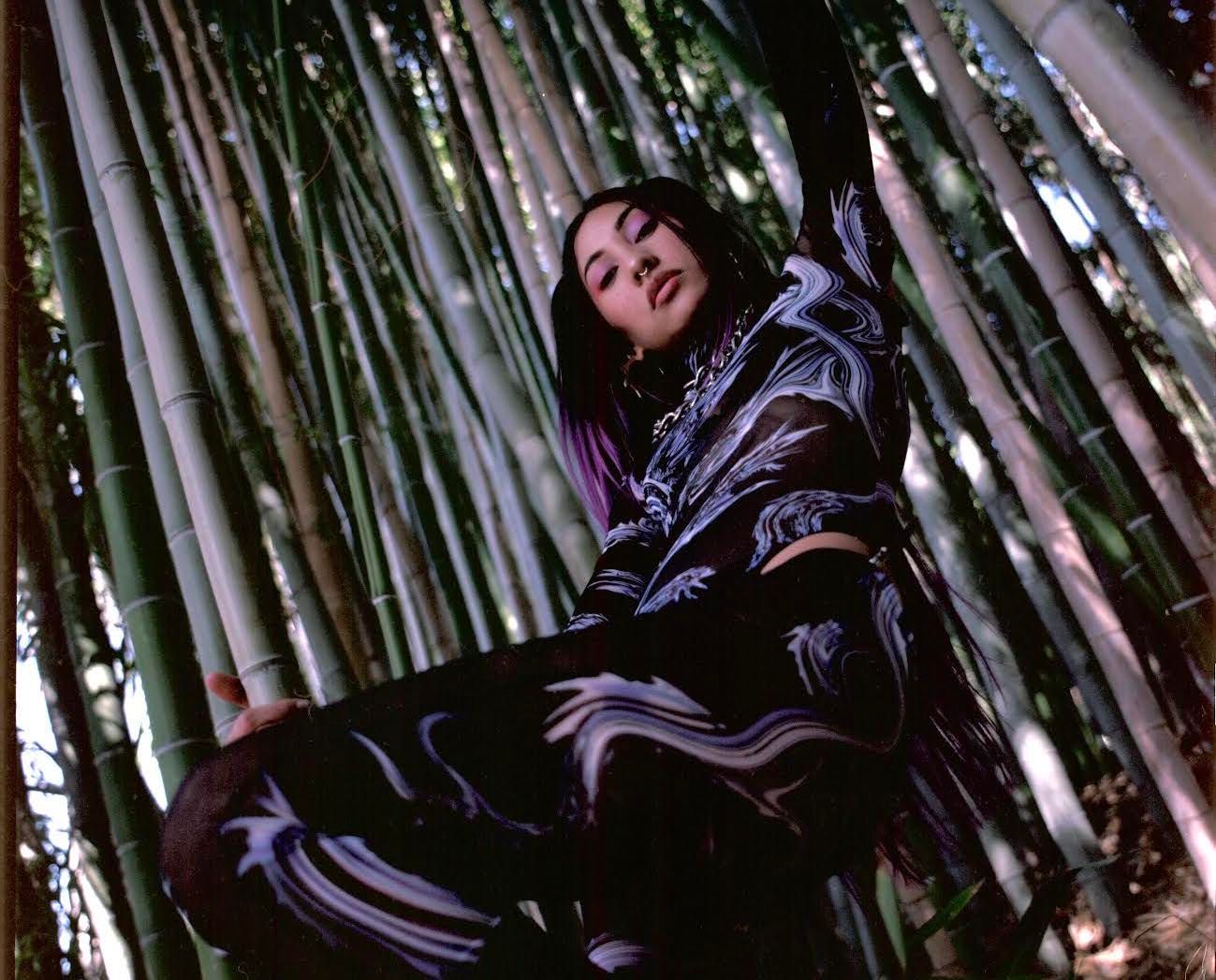 Cover image for Low Leaf's Shadow Working the Release Schedule on Liner Notes