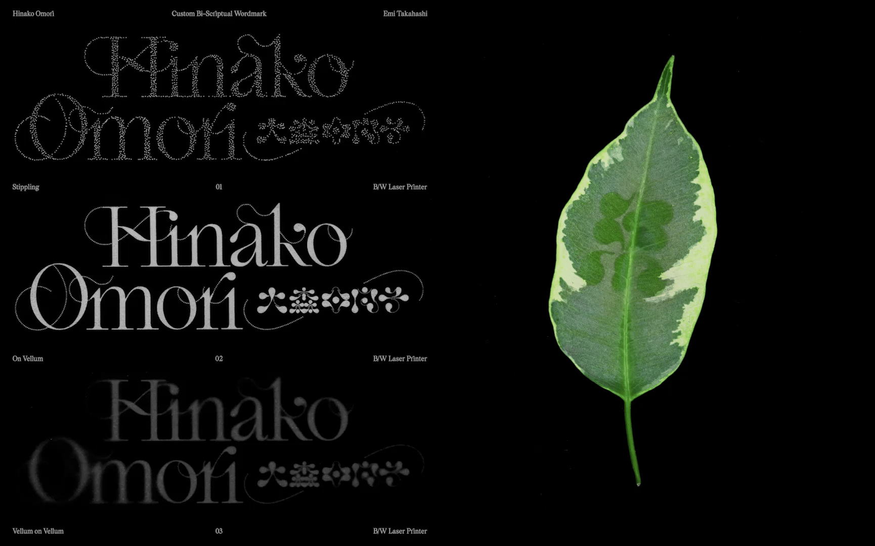 For Future Reference: Emi Takahashi & Nik Arthur | Liner Notes