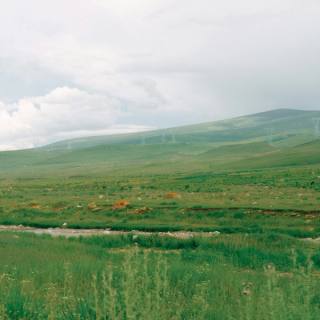 The Changing Environment for B2B Websites