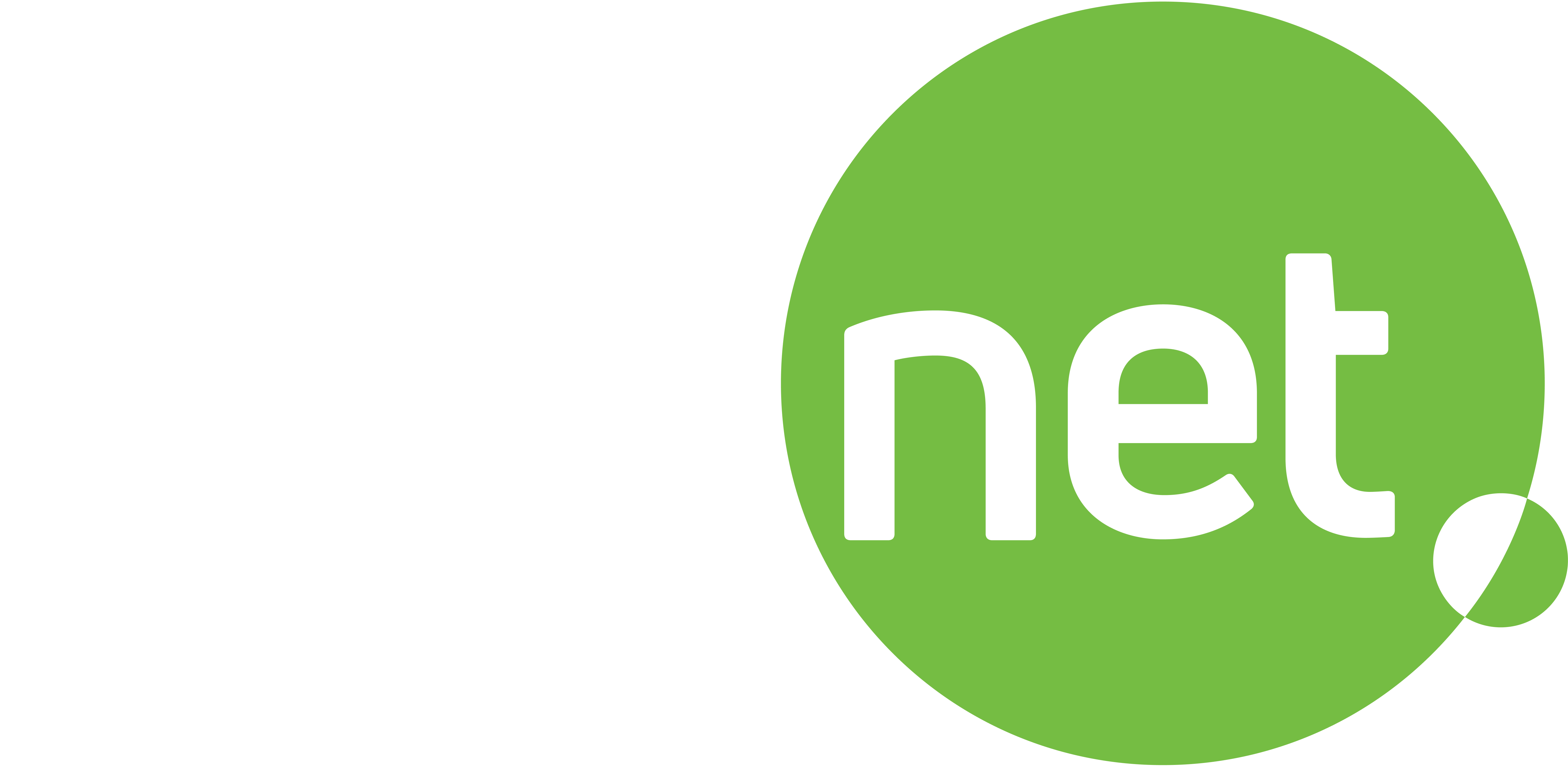 Skillnet Ireland Logo