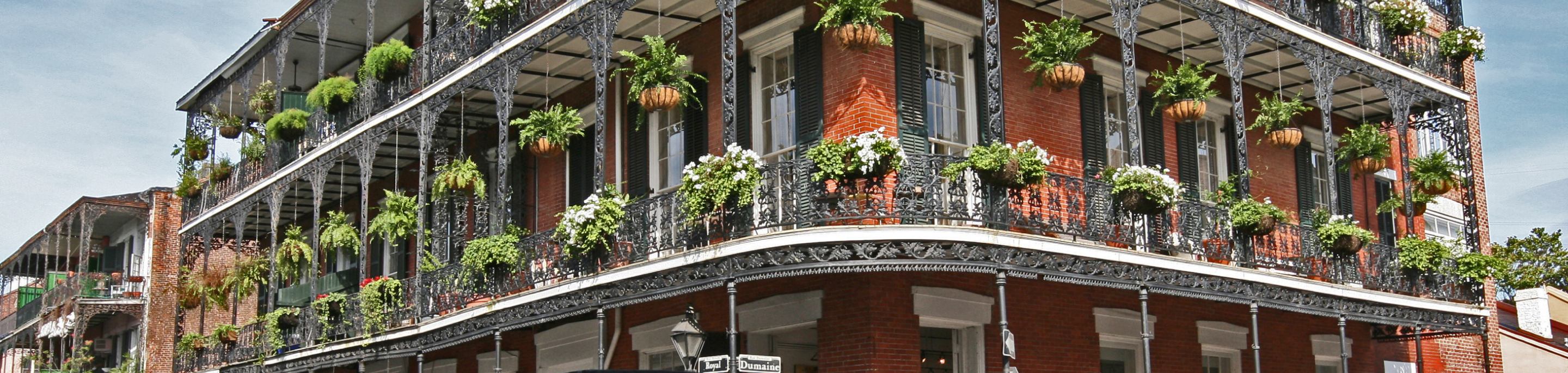 A classic French Quarter building in closeup with a blurred background of intricate wrought iron balconies adorned with lush hanging plants and flowers in New Orleans, Louisiana.