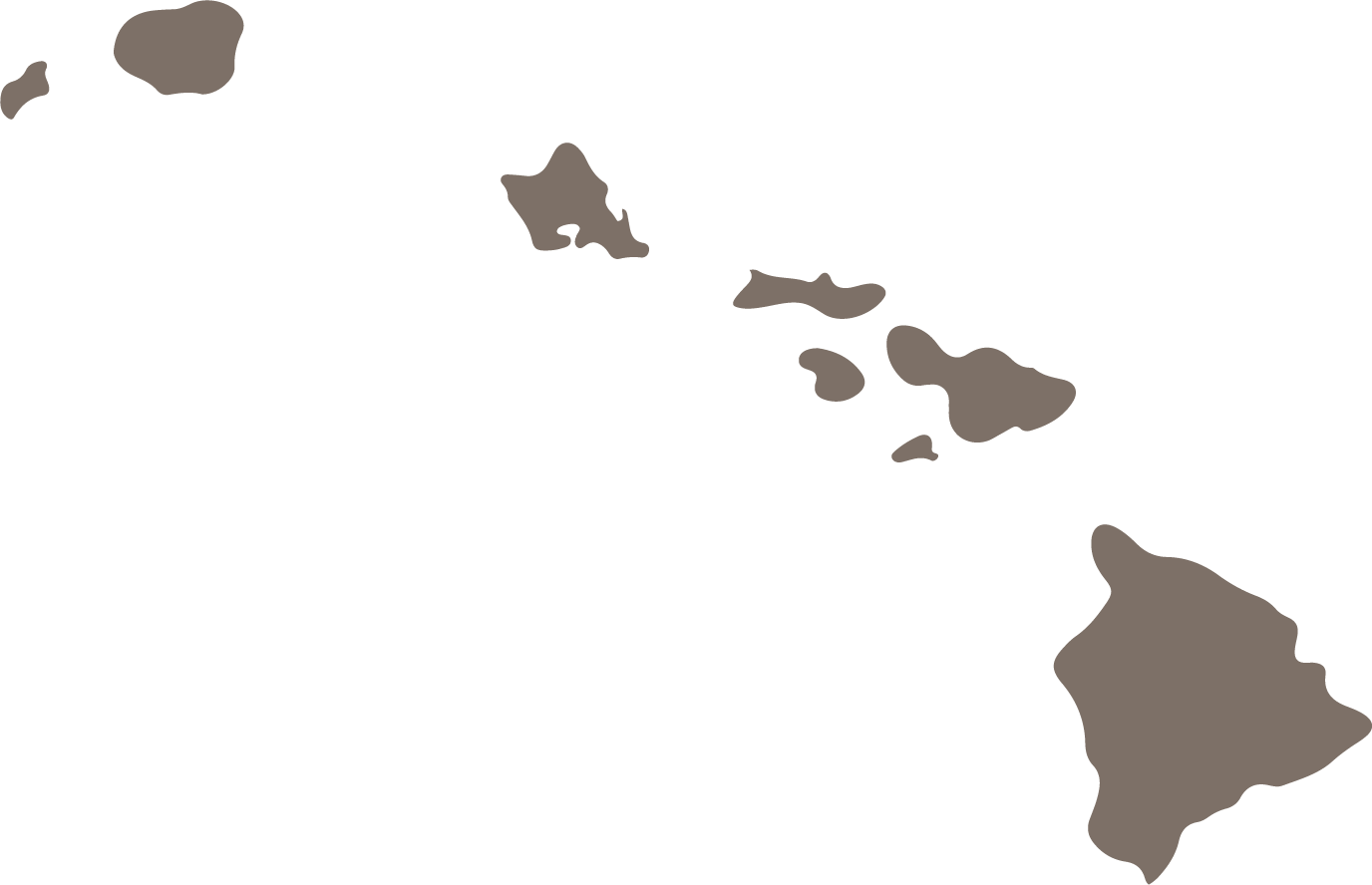 Hawaii State Map Icon