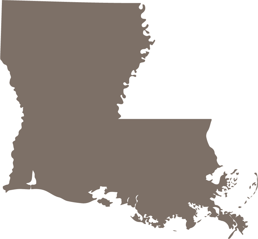 Louisiana State Map Icon