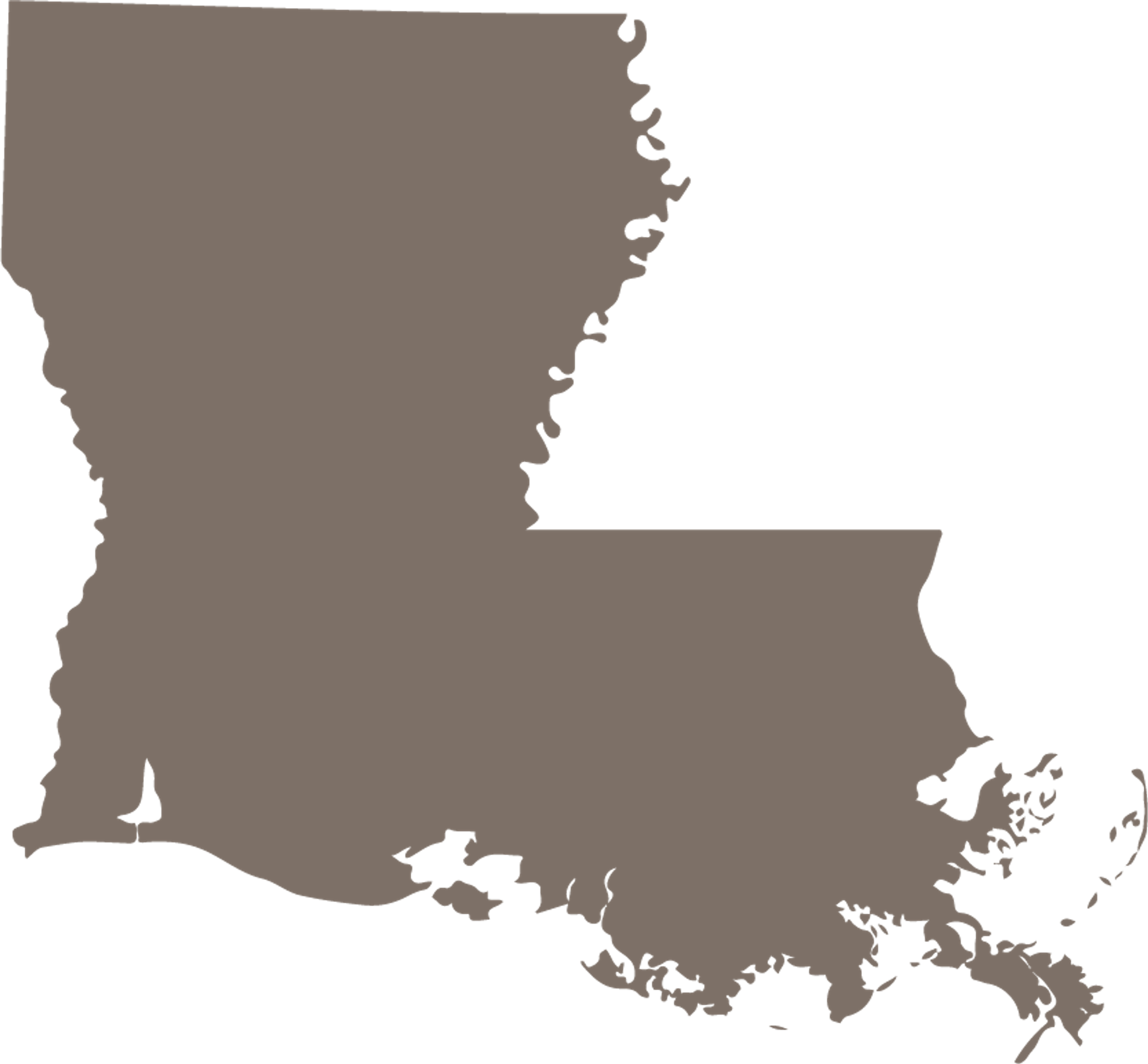 Louisiana State Map Icon