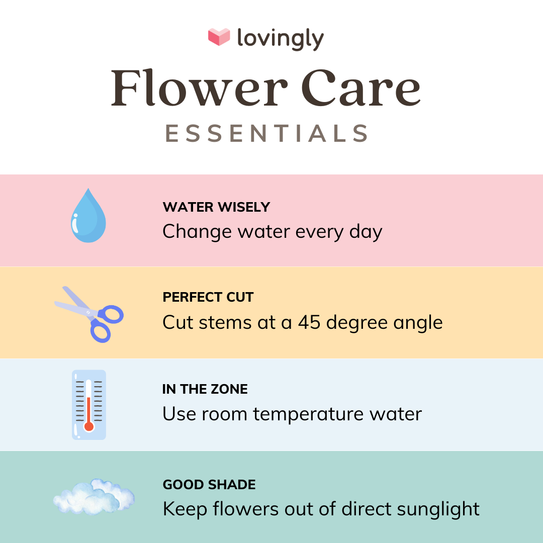 a lovingly flower care essentials poster shows how to care for flowers