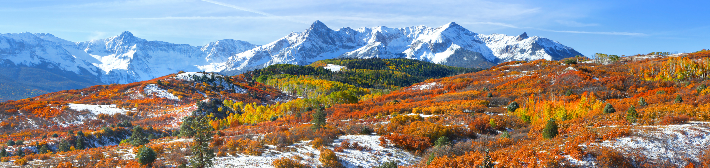 A landscape of snow-dusted autumn foliage in closeup with a blurred background of the snow-capped Rocky Mountains under a clear blue sky in Colorado.