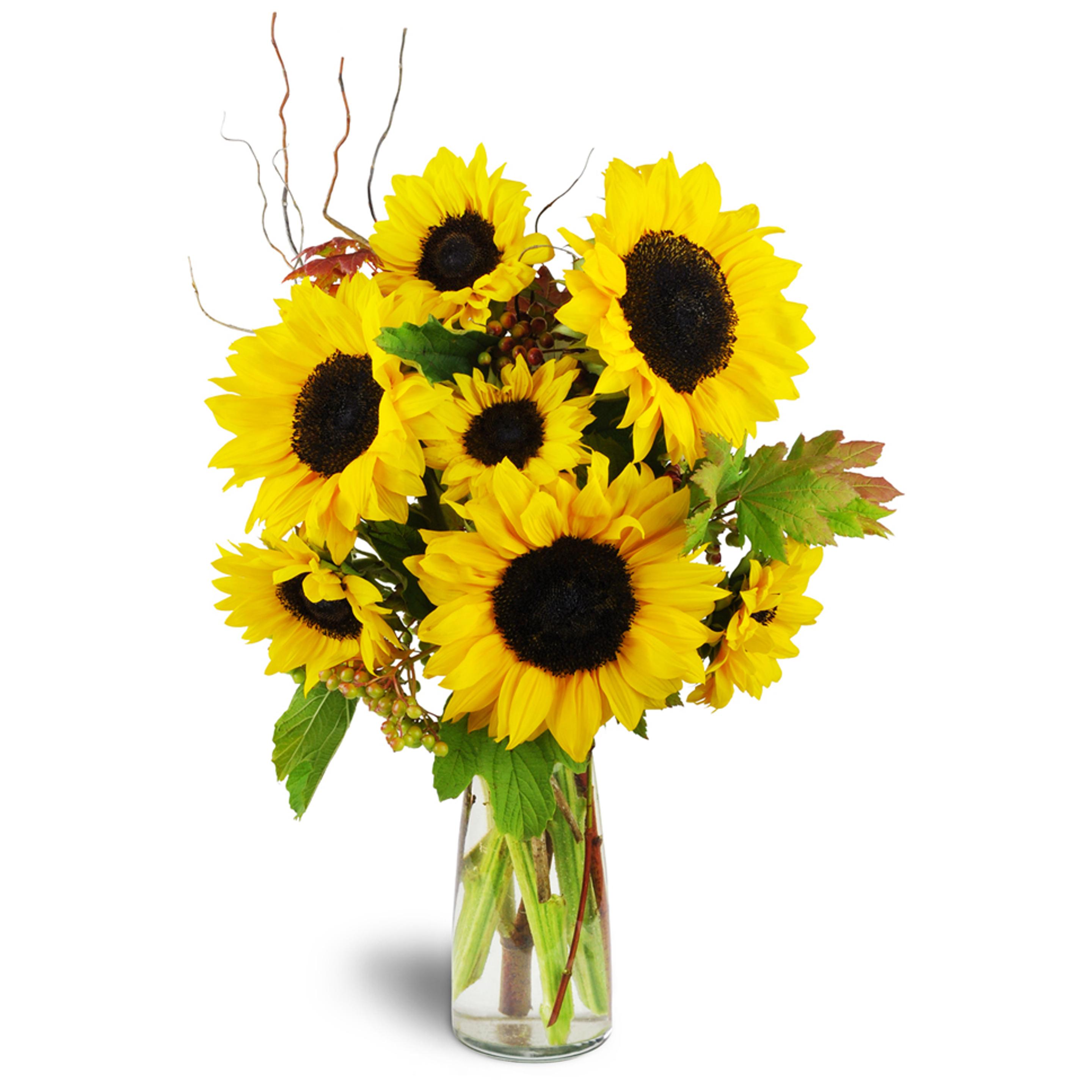 Bright and beautiful sunflower arrangement.