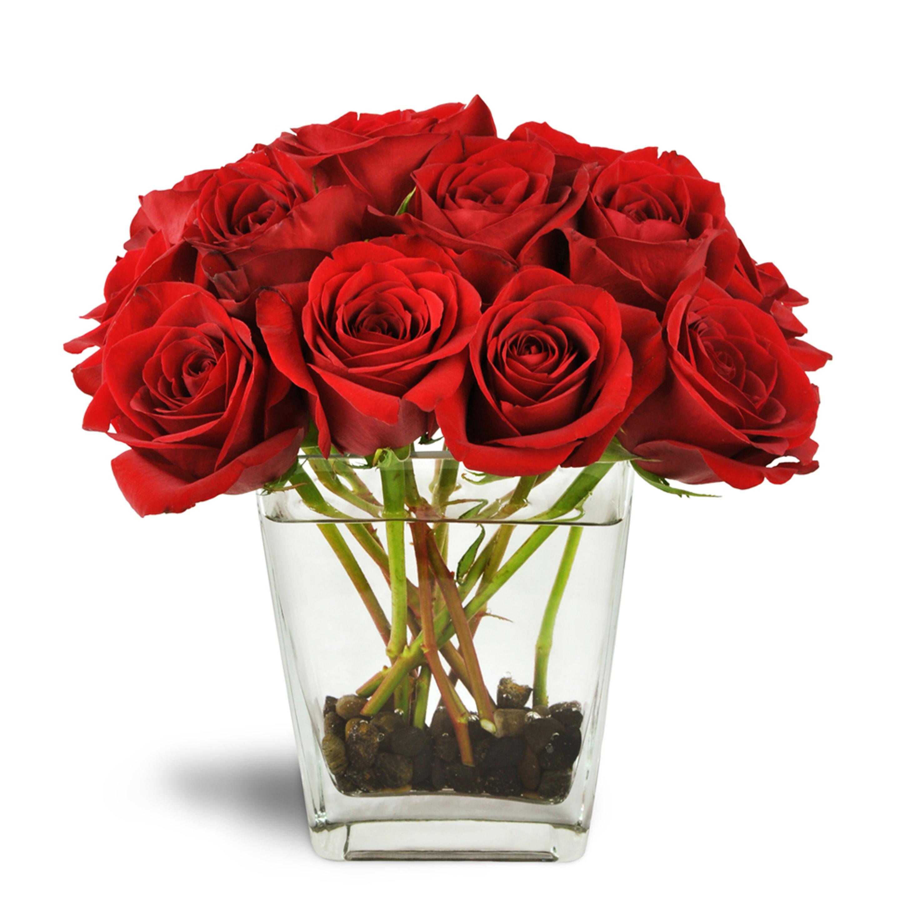 Red flower arrangement - Large red rose blooms burst from a clear glass vase lined with river rocks.